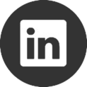 LinkedIn Button