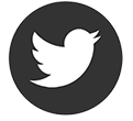 Twitter Button